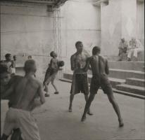 Cuban boys and young men in boxing training