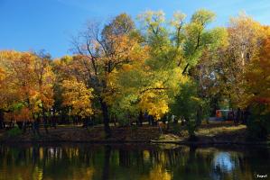 Воронцовский парк. Осень