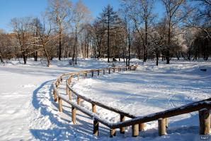 Воронцовский парк. Зима