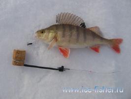 Зимняя рыбалка на Урале