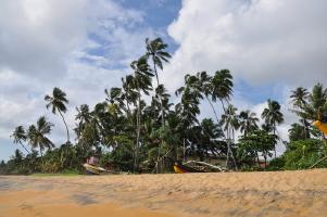 Шри-Ланка - Благословенная земля (апрель 2010г.)