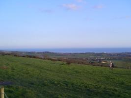 Isle Of Wight Landscape