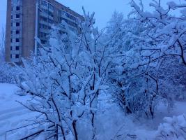 09-12-28-Зима в Киеве (фотки с мобилки)
