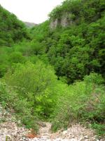0405.11 Абхазия. Маршрут на Шакуранский водопад.