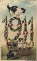 Старые открытки с котами и кошками.