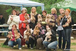 Русские Салонные Собаки
