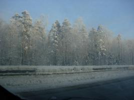 Лен область зима