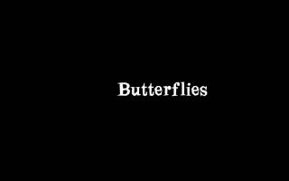 Butterflies - Movie Boy