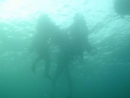 Scuba-Diving-Porto-Rico