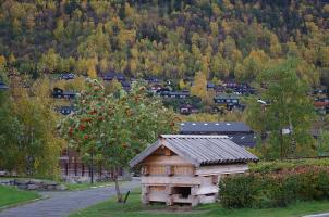Норвегия., поездка на фьорды. Осень 2014