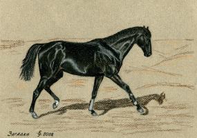 Рисунки лошадей "Аргамака"