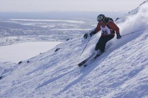 Alpine ski